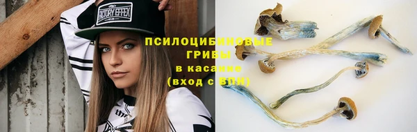 соль ск Пестово