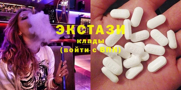 гашик Пересвет