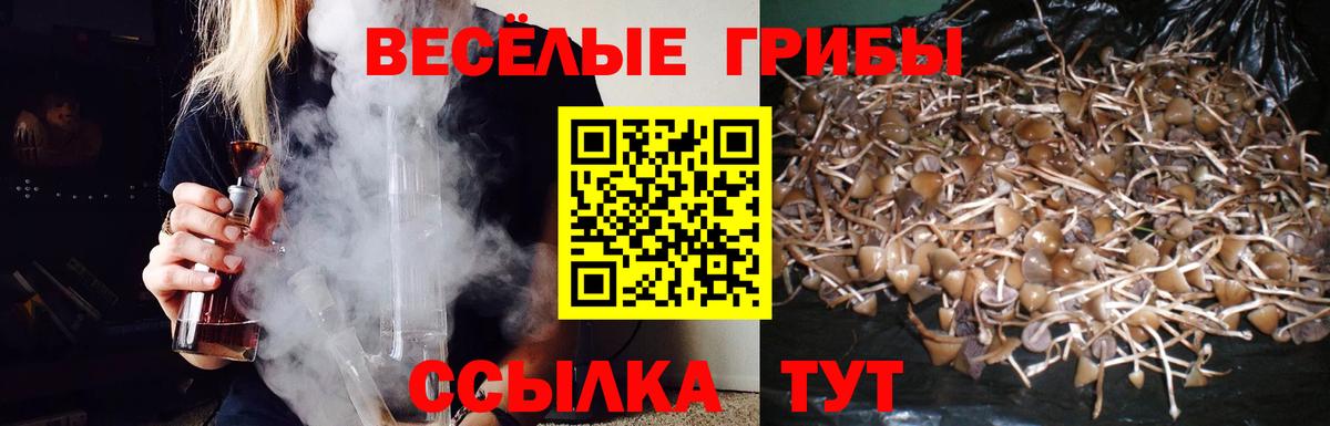 Белая Калитва  Галлюциногенные грибы прущие грибы  Вход с VPN 